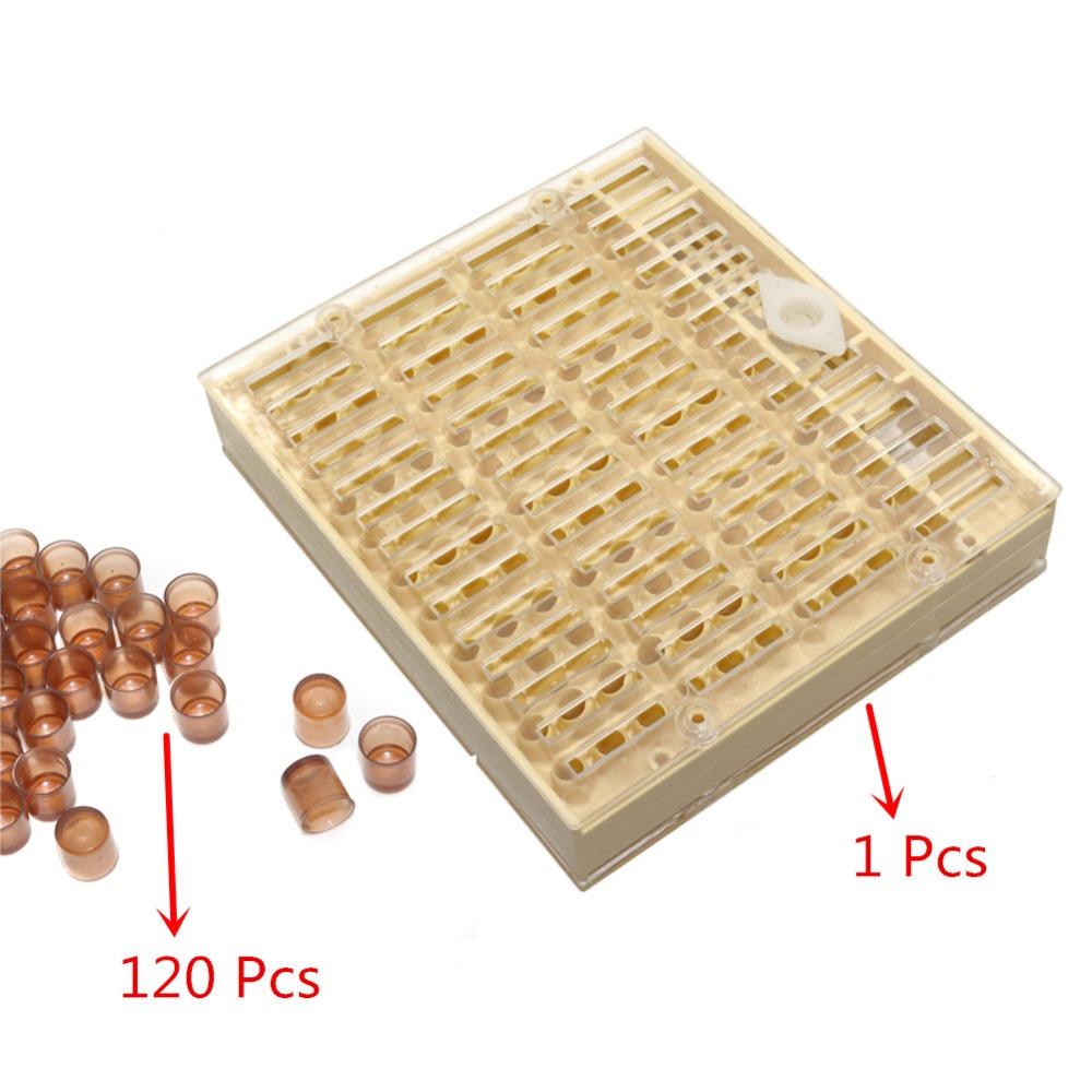Beekeeping Equipment Tools Rearing Queen Bee Lay Eggs Plastic Box Cage For Professional Beekeeper Apiculture Supplies