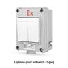 SD'ZM Explosion-Proof Lighting Wall Switch