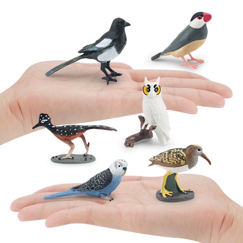 Exquisite Realistic Bird Models In Pvc Material Showcasing Colorful Parrots Owls And Songbirds