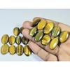 310Cts. Natural Tiger Eye Oval Cabochon Loose Gemstone 22Pcs Lot 20-27 MM C-729
