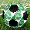 SIZE 5 FC St. Gallen Soccer Ball Colorful All Ages Machine Stitched PVC Competition Ready Durable High-Bounce