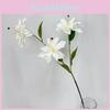 Wedding Lilium Brownii Var Viridulum Flower Arrangement For Home Decor And Event Decoration With Realistic Faux Design