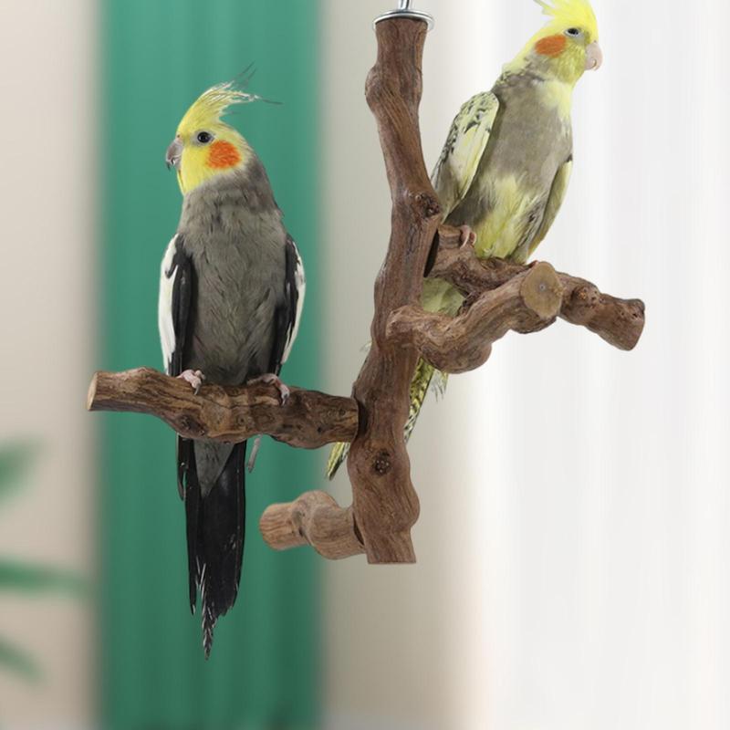 Holz Vogel Sitzstange Stand Aktivitätszentrum Papageien Sitzstange Plattform Holzständer Spielzeug für Kongas Nymphensittiche Wellensittiche Aras Liebesvögel