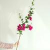 115cm Kunstmatige Driehoekige Pruimen Tak Eettafel Decoratie Nep Bloemen Zijde Simulatie Driehoekige Pruim Witte Bloem