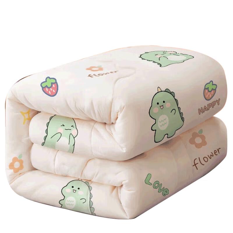 Nanjiren All-Season Single Quilt