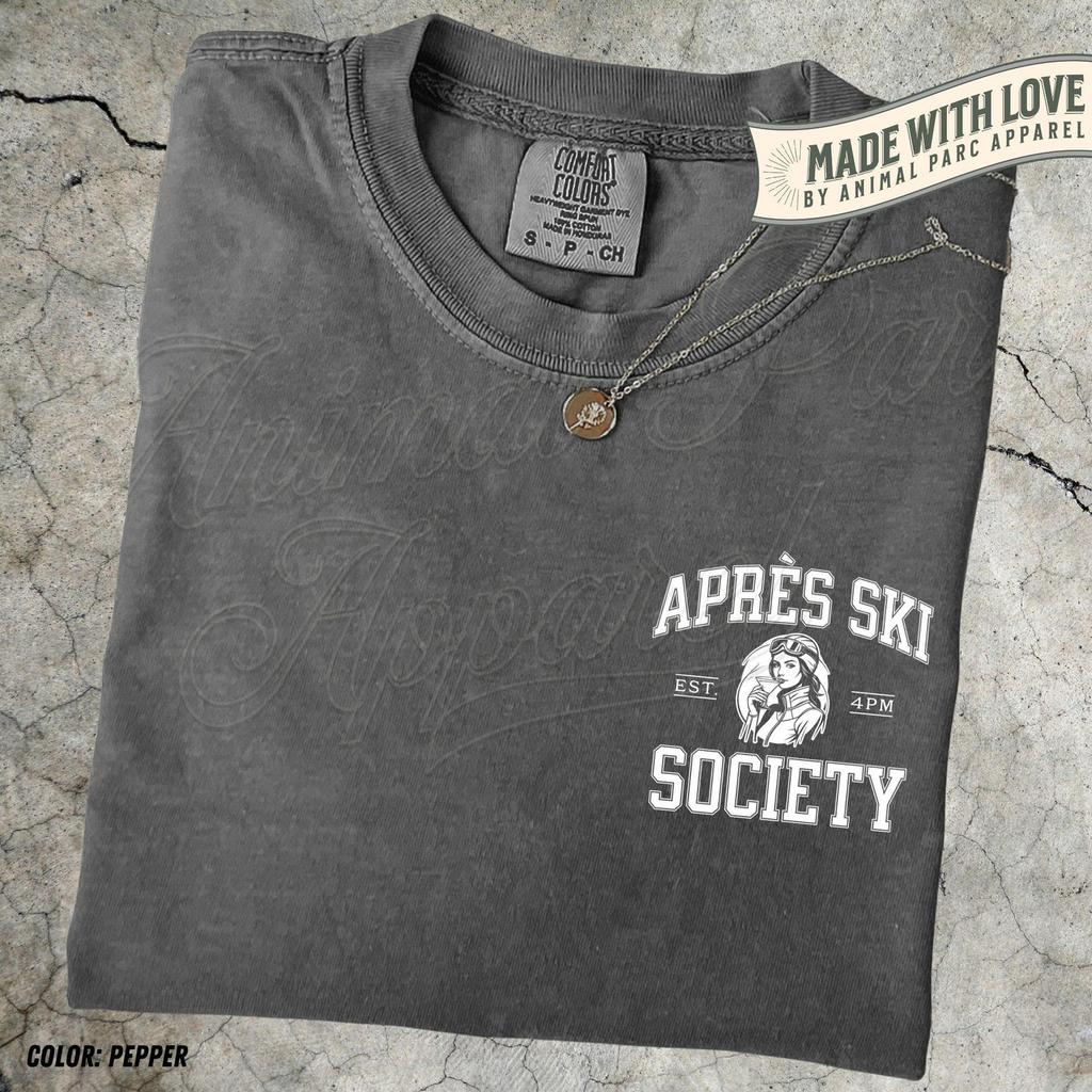 Apres Ski Society Vintage T Shirt, Comfort Colors Skiing Shirt, Gift for Skiier, Unisex Winter Holiday Shirt, Snowboarding Tee, Aspen Shirt