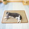 Wear-Resistant Sisal Cat Scratch Mat