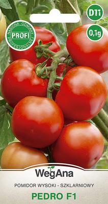 Pedro Hybrid Tomato (F1) 0.1g Tomato Seeds -