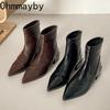 Thick Heels Women Chelsea Boots Fashion Pointed Toe Stripper Party Shoes Female Vintage Slim Short Booties  De Muje