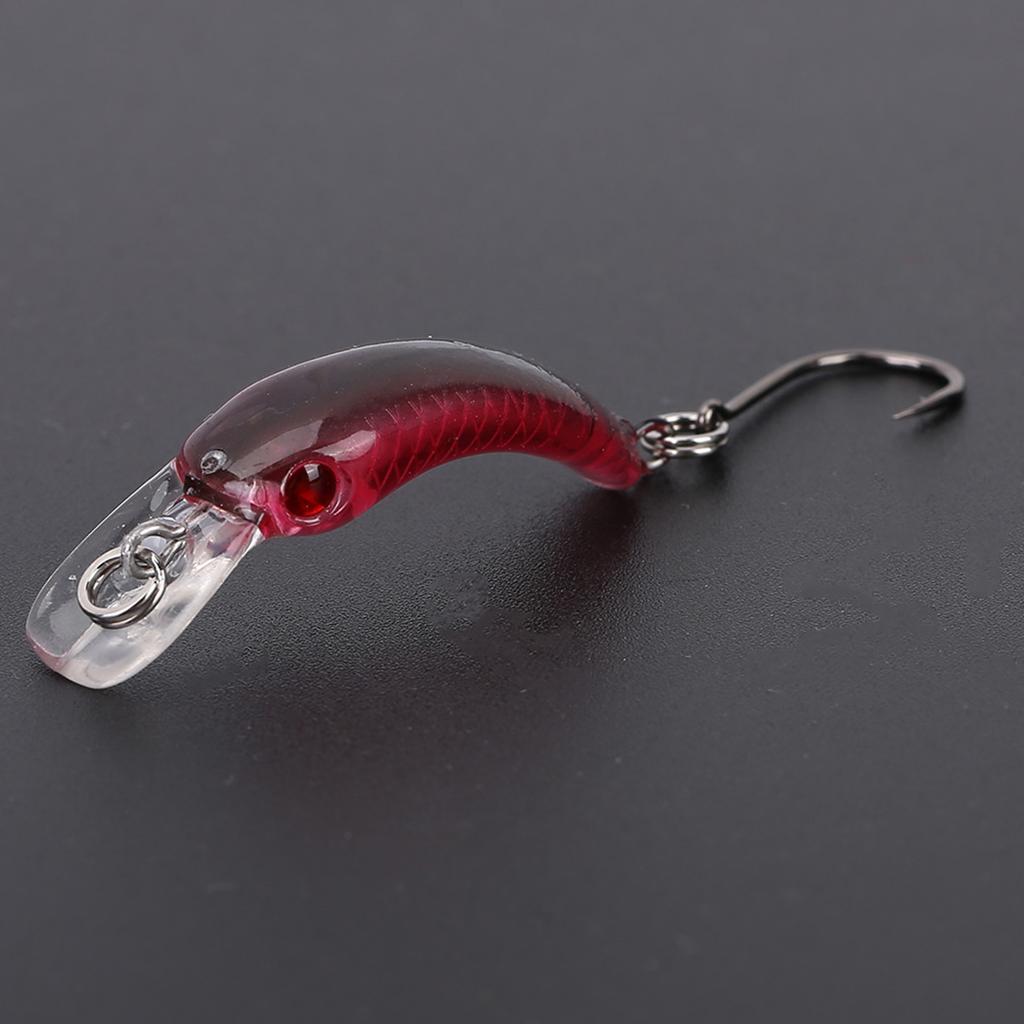 Lifelike Hard Lure Minnow Bait with Hook Fishing Crankbait Wobbler Tackle Accessory (D)