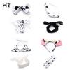 Sexy Anime Cow Cosplay Maid Uniform Bikini Lolita Kawaii Bra and Panty Set Underwear White Black Lace Stocking Lingerie