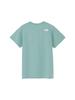The North Face Short Sleeve ES Big Logo Blue Size S T-Shirt, S/S Tee, Eclipse,