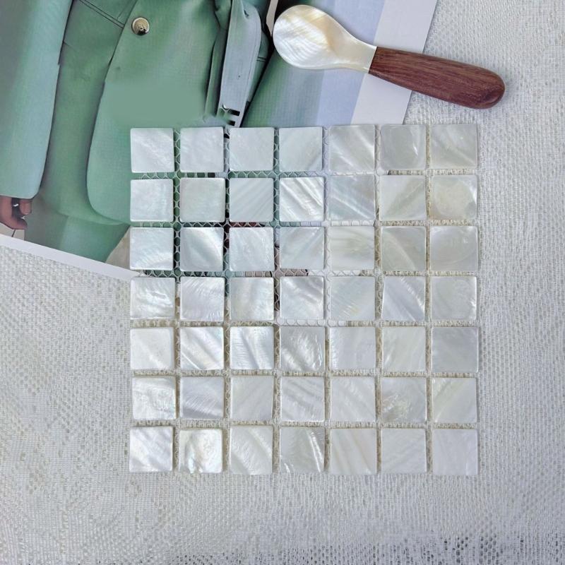 Set of 2 Shell Coasters Easy to Clean and Maintain Table Mats for Daily Use