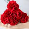 DIY Craft Artificial Red Carnations 54cm Fake Plants Simulation Carnation Flower  Garden