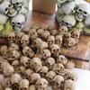 Dwarf Mini Skeleton Set: 20-Piece Halloween & Day of the Dead Decor for Flower Pots and Surfaces