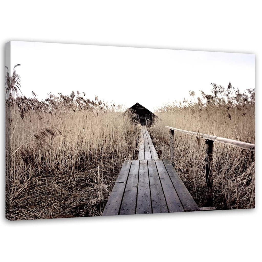 Plátno, Starý most ve vysokém rákosí