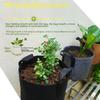 Senjing Colorful Root Control Non-Woven Planting Bag for Trees and Flowers