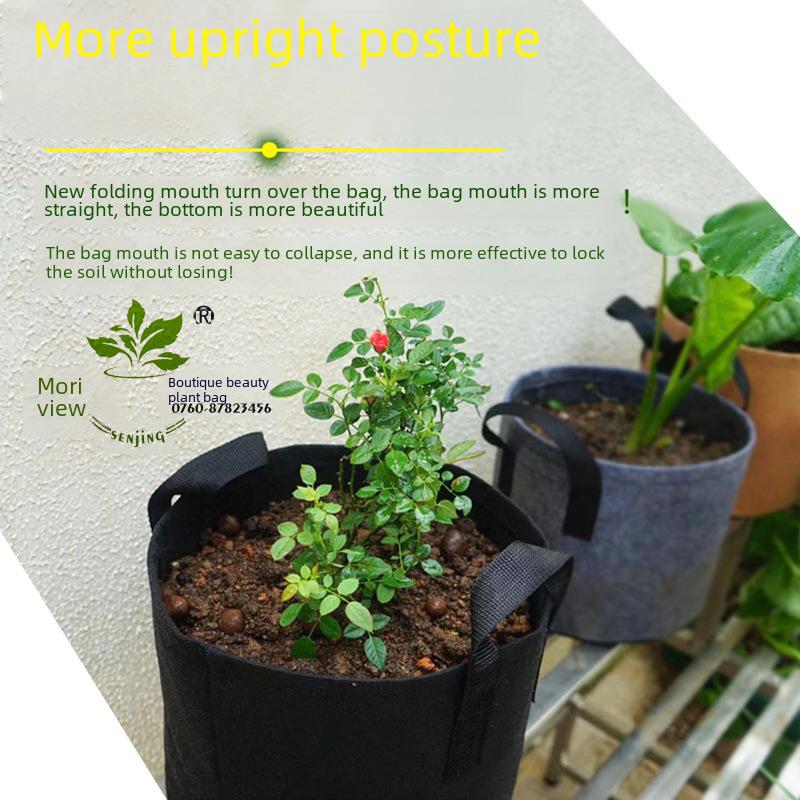 Senjing Colorful Root Control Non-Woven Planting Bag for Trees and Flowers