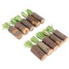 10Pcs Rabbit Chew Sticks Edible Safe Prevent Urinary Stones Decorative Guinea Pig Chew Toys for Hamster Bunny