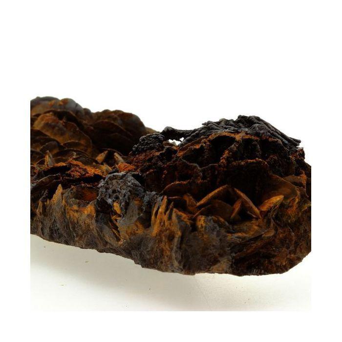 Pyrolusite et Goethite sur Sidérite 1445.3 carats