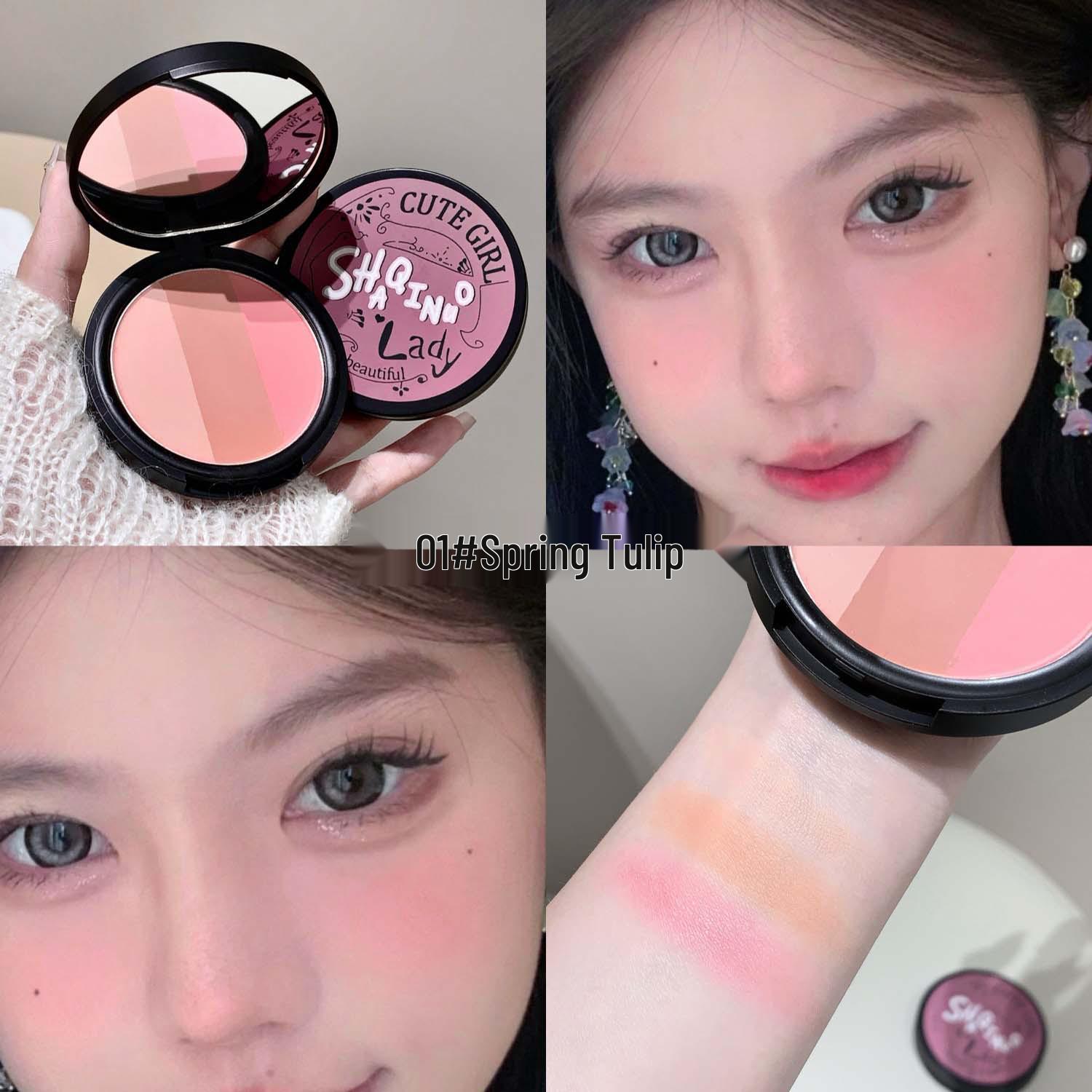 

Shaqinuo 3D Contour & Blush Palette: Earth-Toned, Matte, Three-Color for Garden-Inspired Face & Nose Contouring