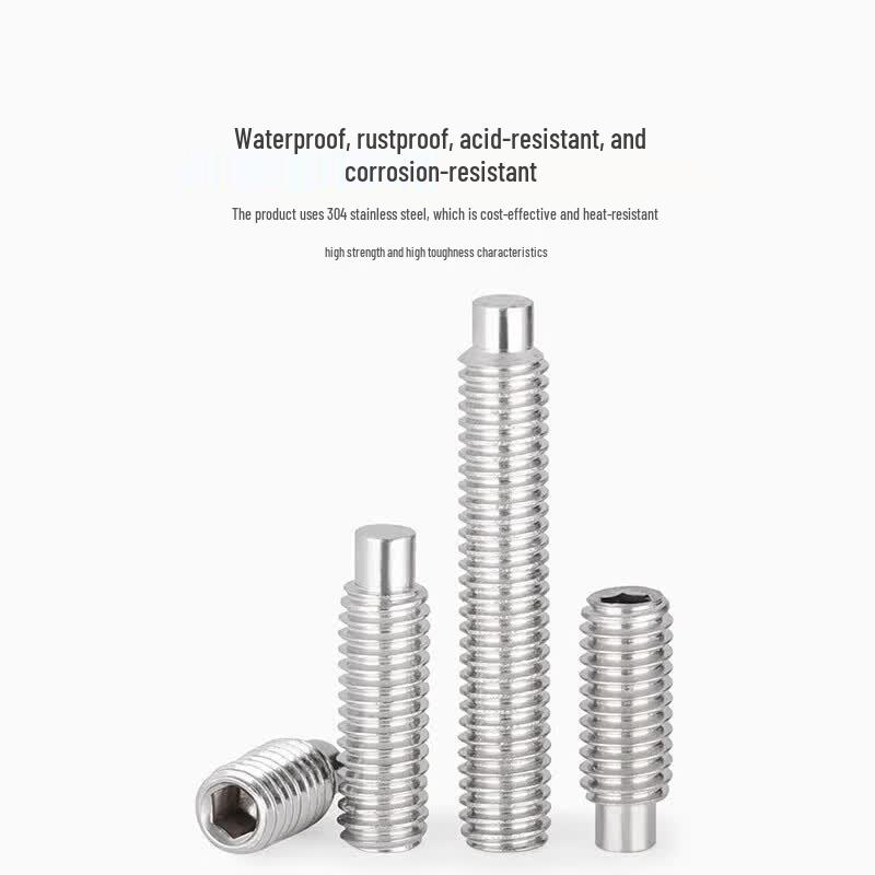 Stainless Steel Internal Hex Socket Set Screw
