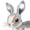 Clear Faux Crystal Bunny Figurine 2D Flat Acrylic Rabbit Table Sign for