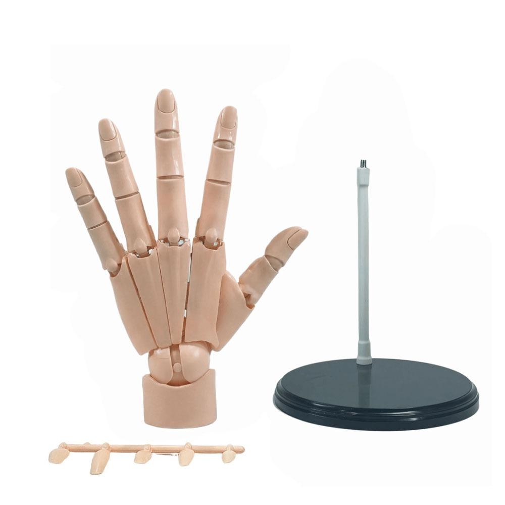 Flexible Anatomically Accurate Jointed Hand Hand Finger Joint Figurine  Home Decoration Gift Skin Left Hand