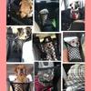 Dog Carrier Driving Installs Net Between the Back Seat and the Keeps Pets and Children Away for Safe Driving [MKMC] Accessories, Supplies, Driver's
