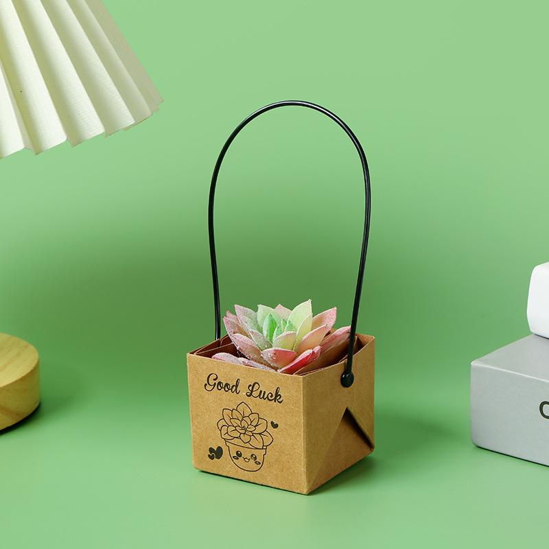 Handmade Waterproof Kraft Paper Succulent Gift Box Pot
