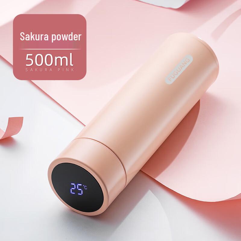 FUGUANG 480ml Digital Display Insulated Water Bottle