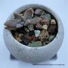 Retro Round Pot - Coarse Pottery, Breathable, Creative Succulent Planter, Simple Table Decoration for Green and Potted Plants.