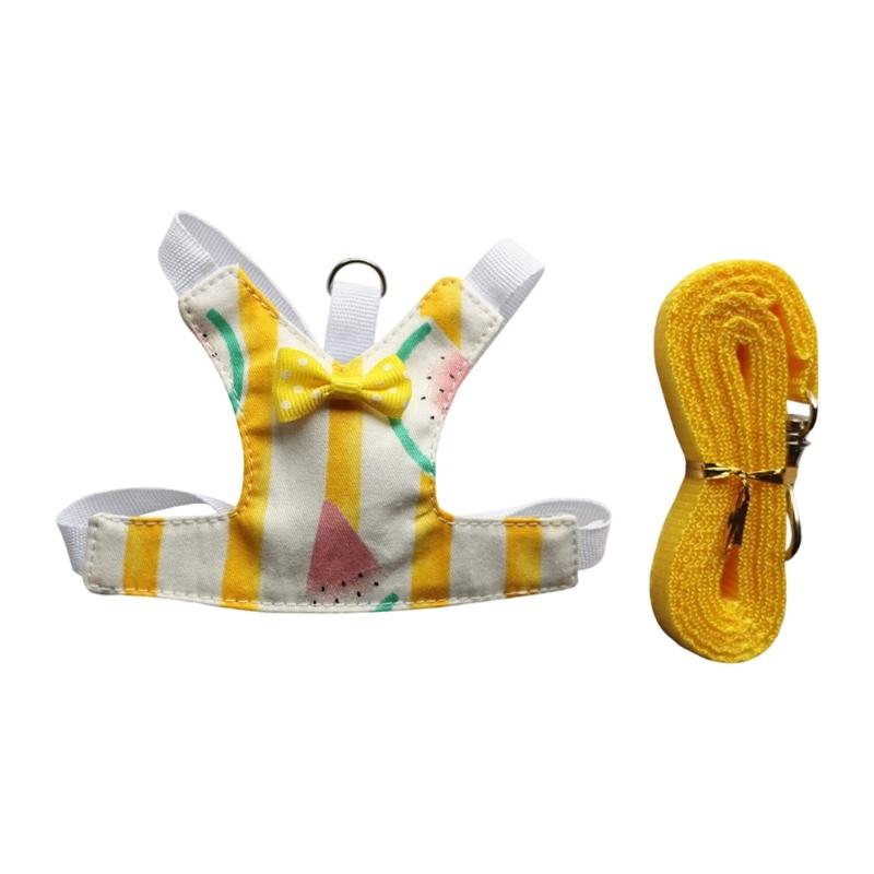 Comfortable Small Animal Harness Rope with Lovely Pattern Walking Vest Leash for Small Pet Outdoor Activity Essential