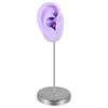 Multicolor Silicone Ear Model Piercable Earrings Display Stand Human Ear Model Rack  Girls Women