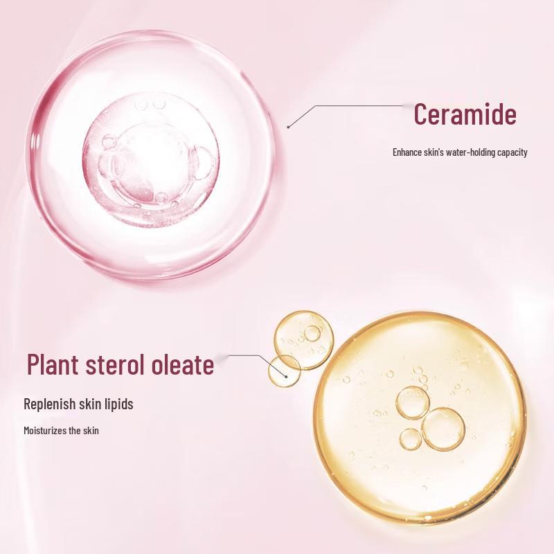 Forest Cabin Camellia High Moisturizing Cream