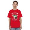Star Wars: The Mandalorian Childrens/Kids Tis The Christmas Season Grogu T-Shirt