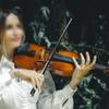 Violinbogenglätter Bogenkollimator Kohlefaserharz Violinbogenhaltung Handglätter