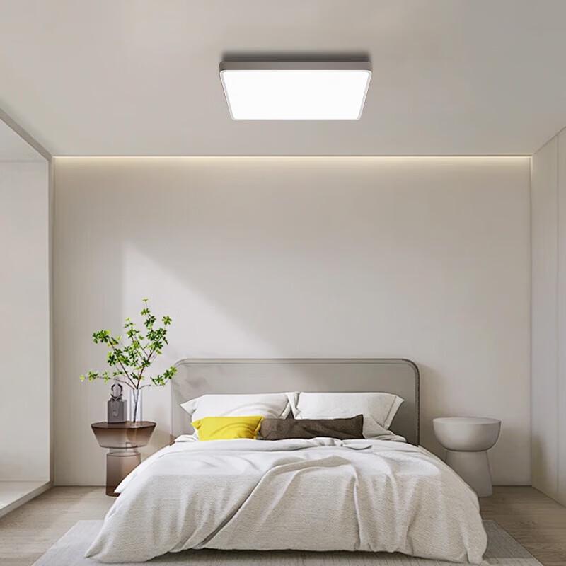 Xiaomi Mijia Smart Ceiling Light