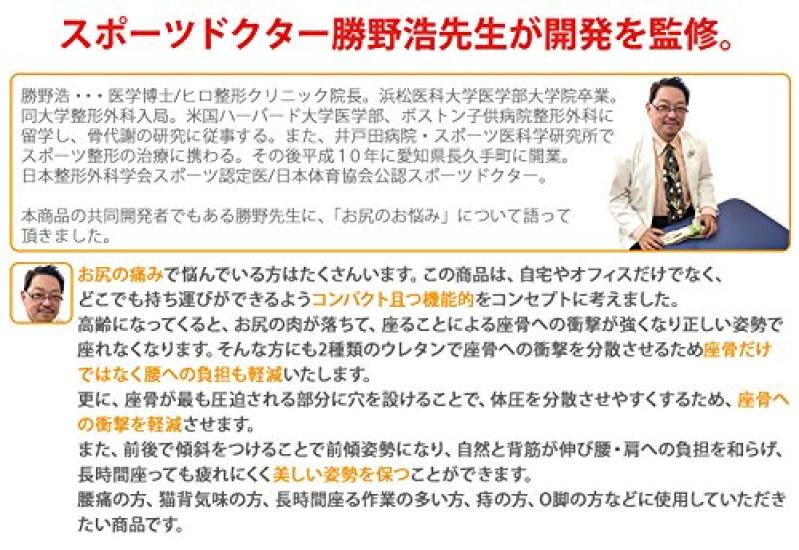 Katsuno Style Portable G Cushion Blue M.D.P