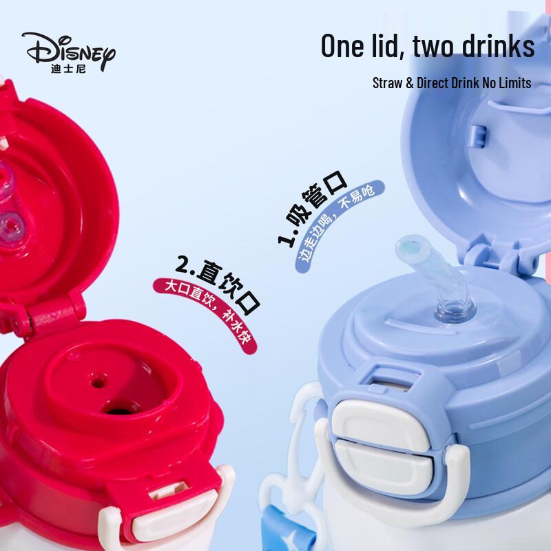 Disney Cartoon 316 Stainless Steel Kids Insulated Water Bottle