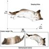 Solid Orange Persian, Ragdoll, Somali, and Blue Short-haired Cat Simulation Models