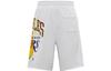Nike Basketball Shorts Men's Light Gray Moderate Straight Fit Pants DB1956-051