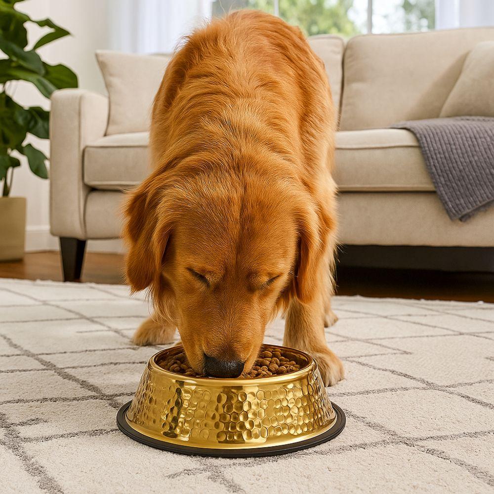 Large Capacity Pet Feeding Bowl Stainless Steel Gold Plated Dog Food Basin Anti Slip Metal Dog Water Food Bowl for Feeding