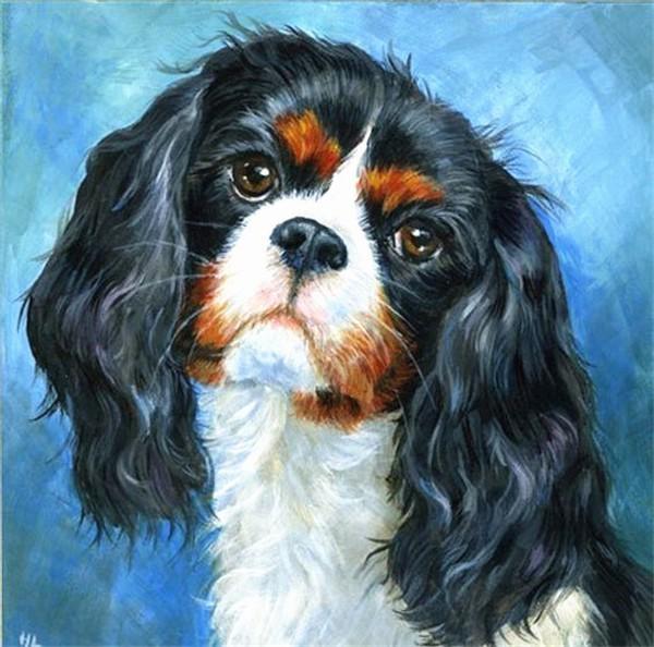 Diamond Embroidery Sale 5D DIY Diamond Painting Dog Animal Rhinestone Picture