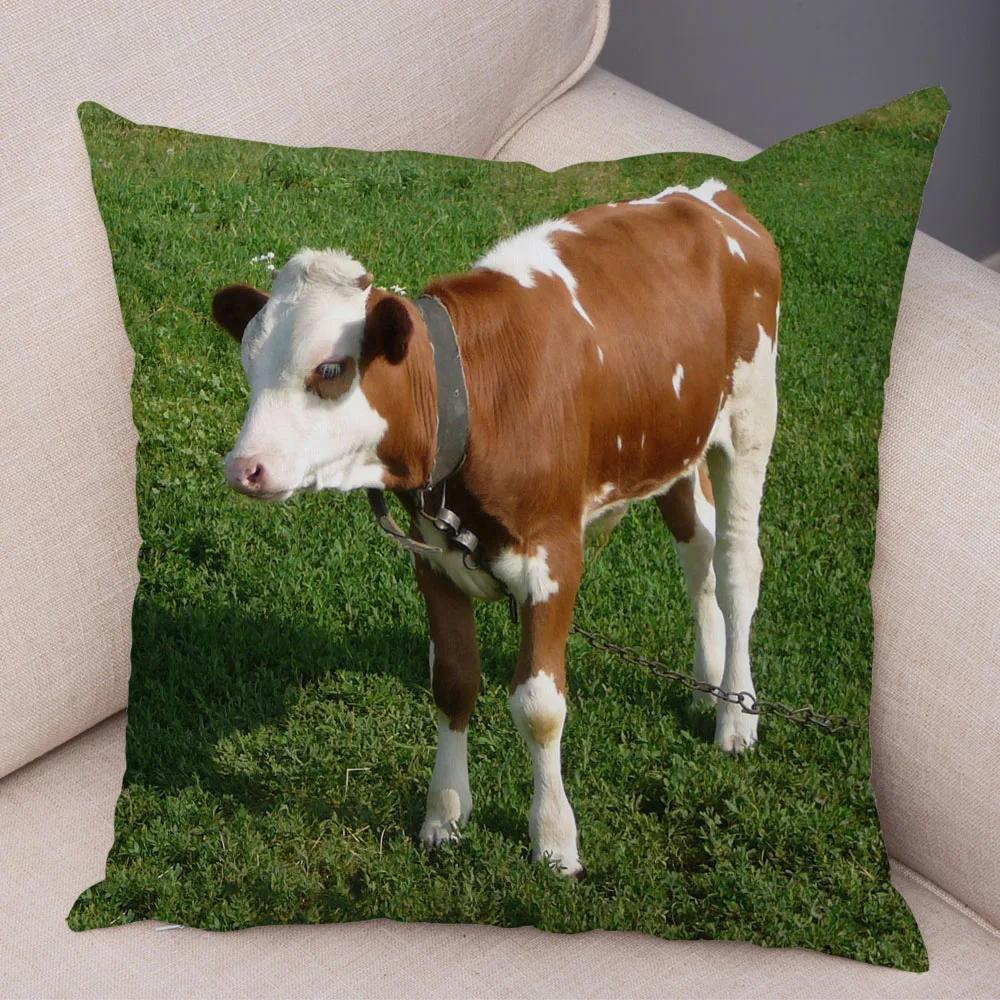 Scotland Kyloe Pillow Case Decor Wild Cow Colorful Animal Print Pillowcase Soft Short Plush Cushion Cover for Home Sofa 45x45cm