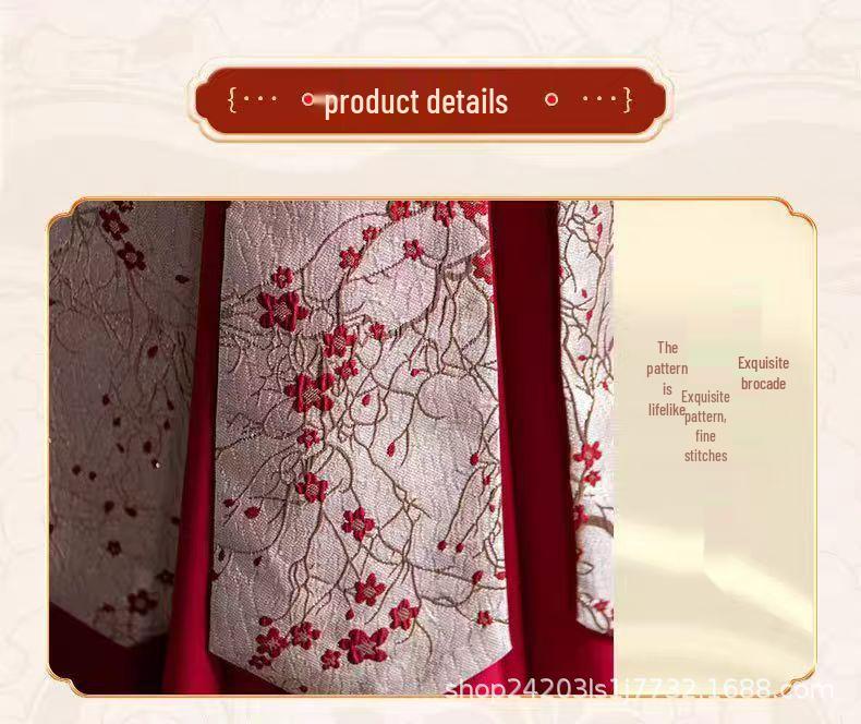 Winter-Hanfu-Kostüm für Jungen - Ming-Stil Tang-Anzug