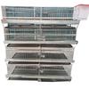 Layered Broiler Farm Equipment: Fully Automatic 3D Broiler Chicken Cages with Cleaning System