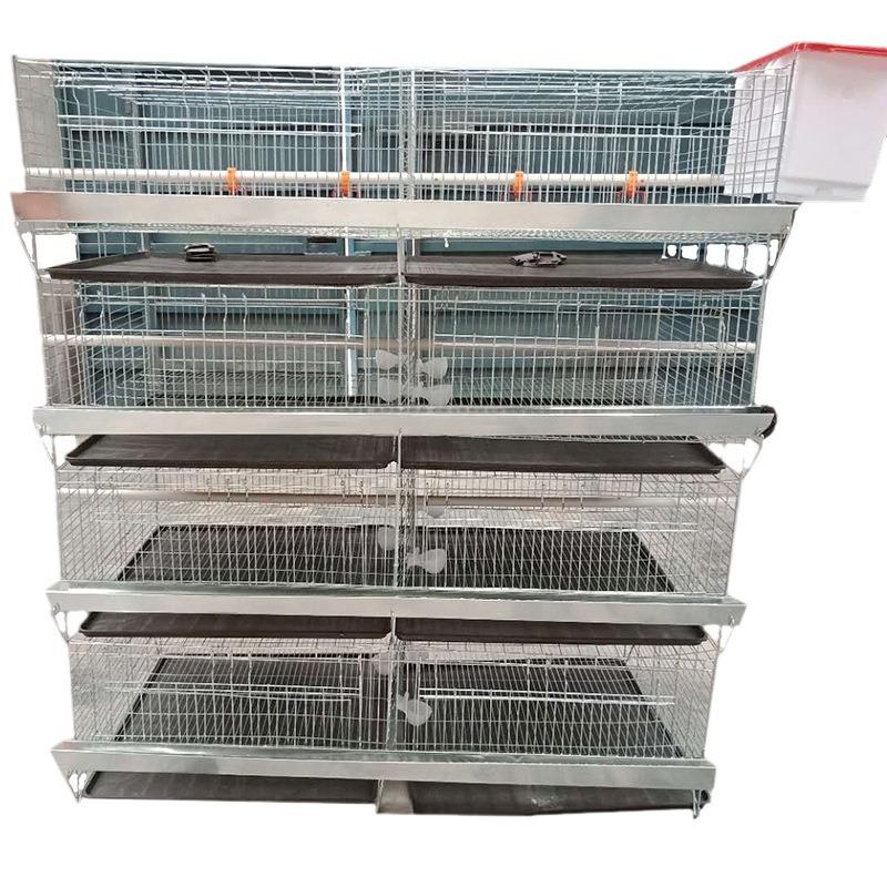 Layered Broiler Farm Equipment: Fully Automatic 3D Broiler Chicken Cages with Cleaning System