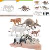 Wild Animal Pvc Model Set With Static Animal Figurines For Collector Display