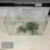 Coperchio per Acquario in Acrilico, Rete Anti-Salto, Tagliabile Fai-da-Te, Varie Misure, con Staffe 30x17cm